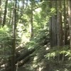 kqed