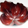 shell7