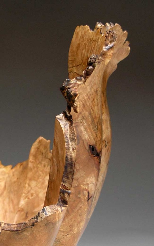 Shell Series #8118”h x 12”w x 16”dMaple Burl